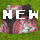 Le titre de la photo1
